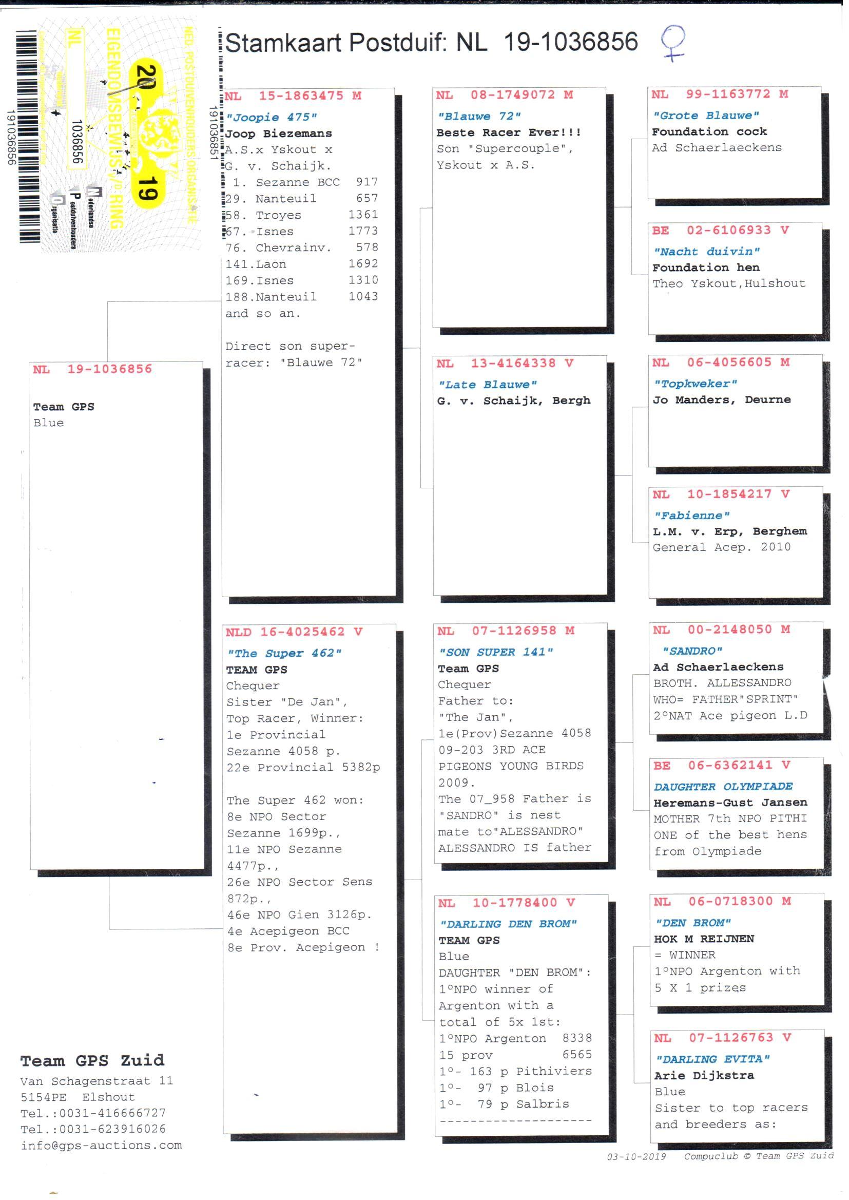 pedigree Joopie 475 x The Super 462 