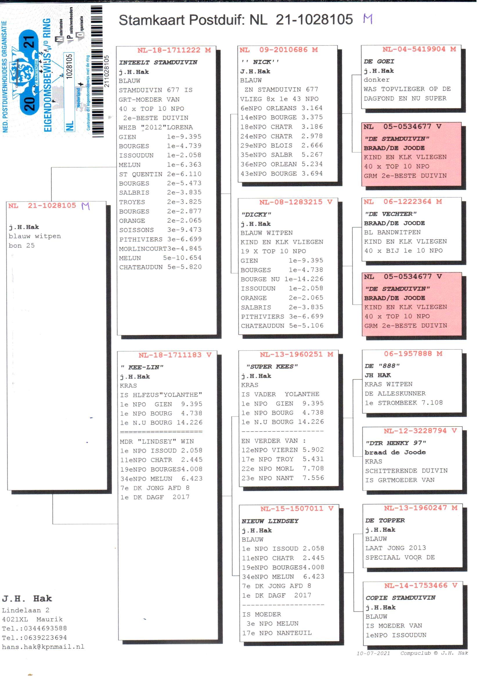 pedigree Inteelt stamduiven x Kee-Lin 