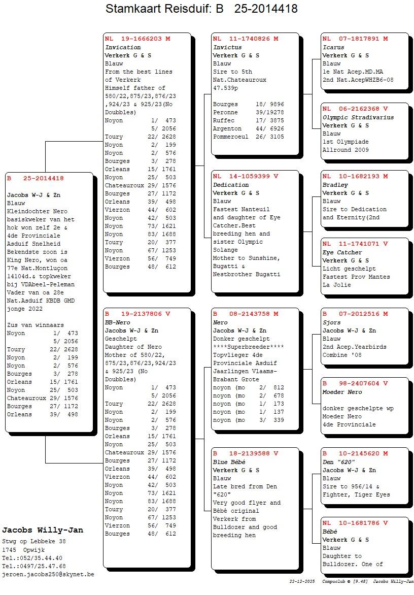 pedigree Kind topkoppel Invication x Bb-Nero
