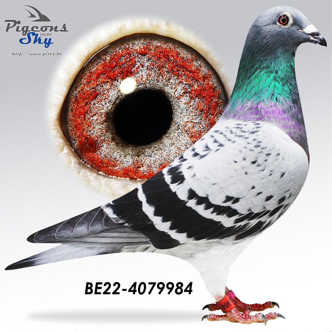 De 984/22 - 14 x per tiental