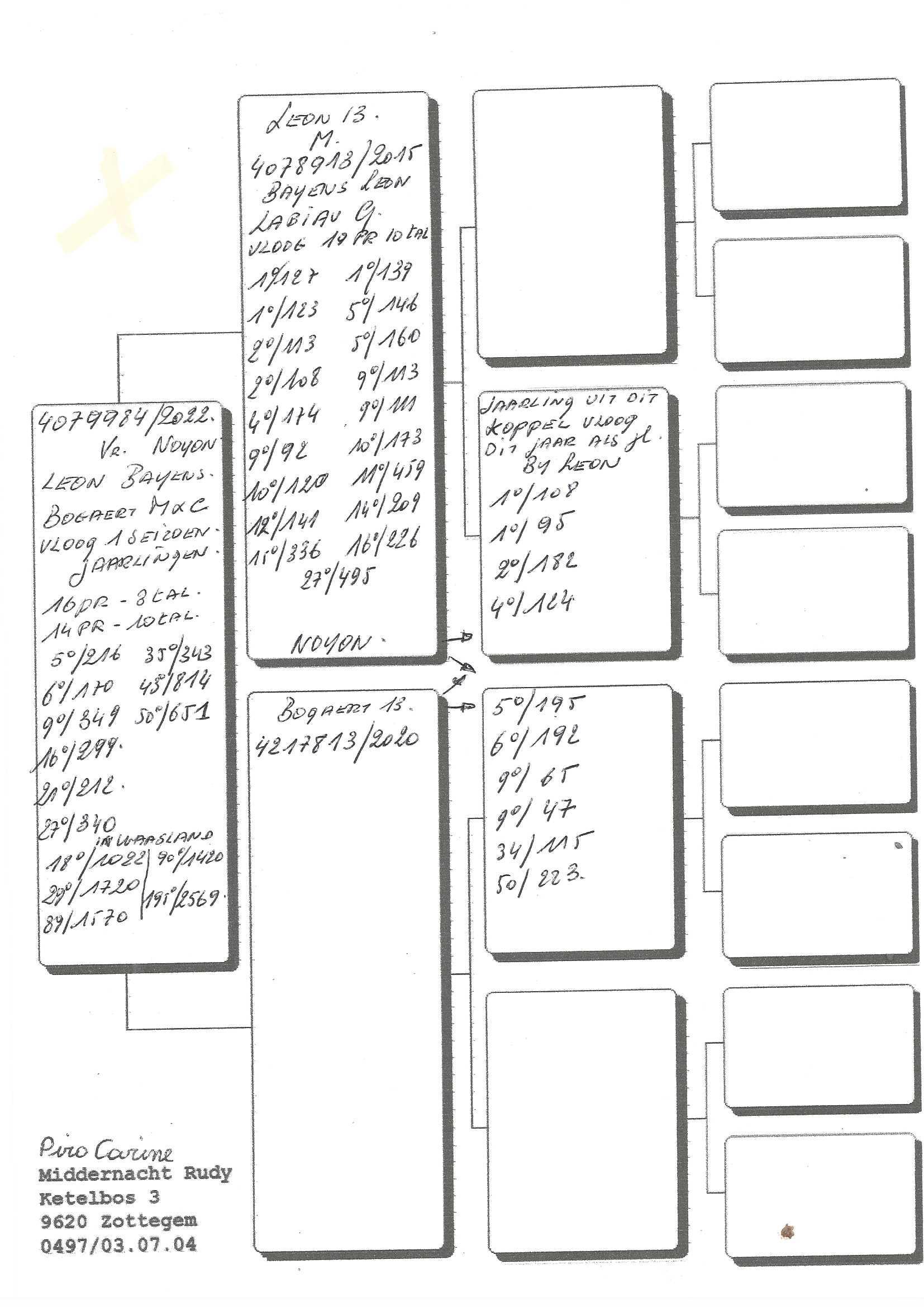 pedigree De 984/22 - 14 x per tiental