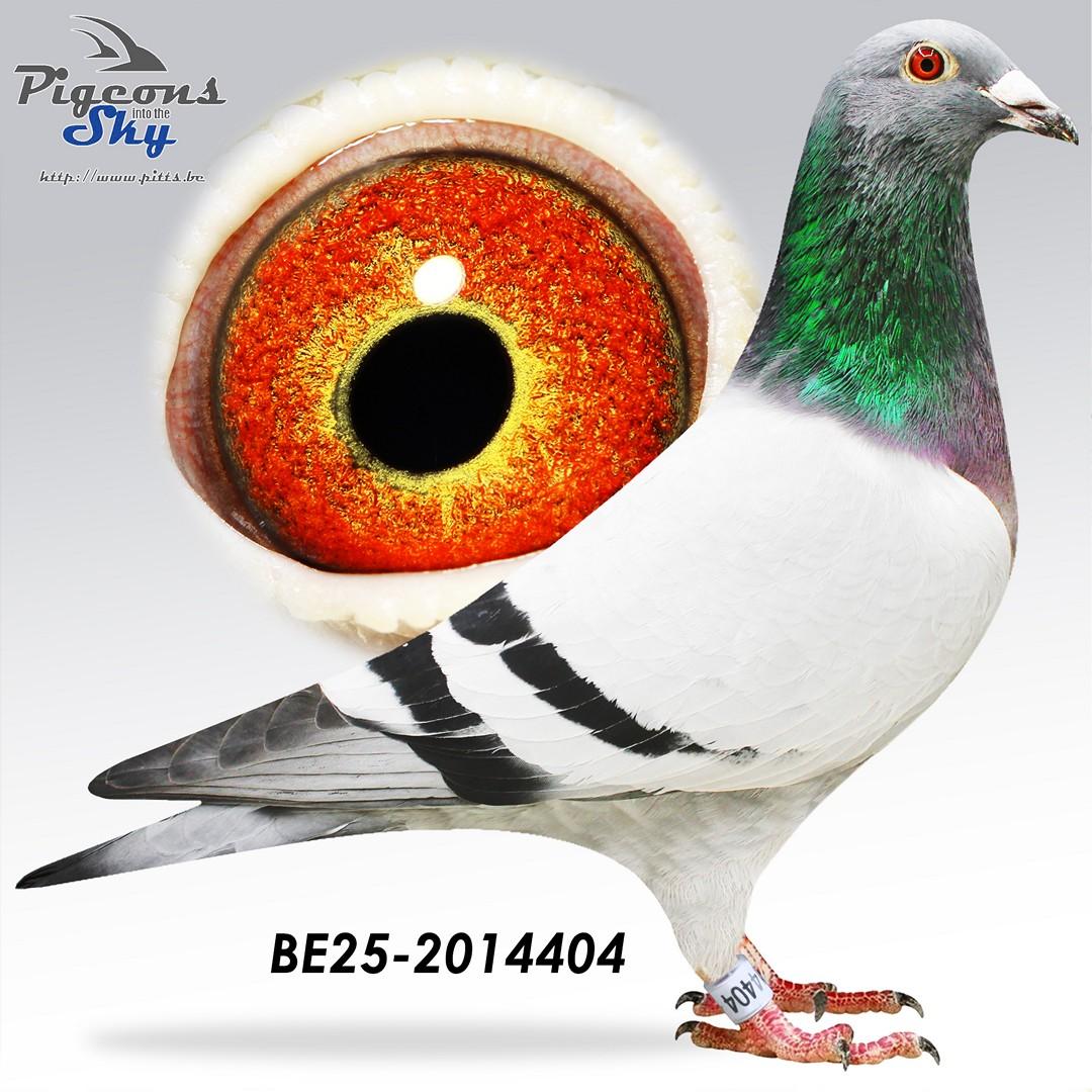 Het beste van Jacobs (De Super, Van Dijckske) & Van den Abbeel-Peleman (Sagan)