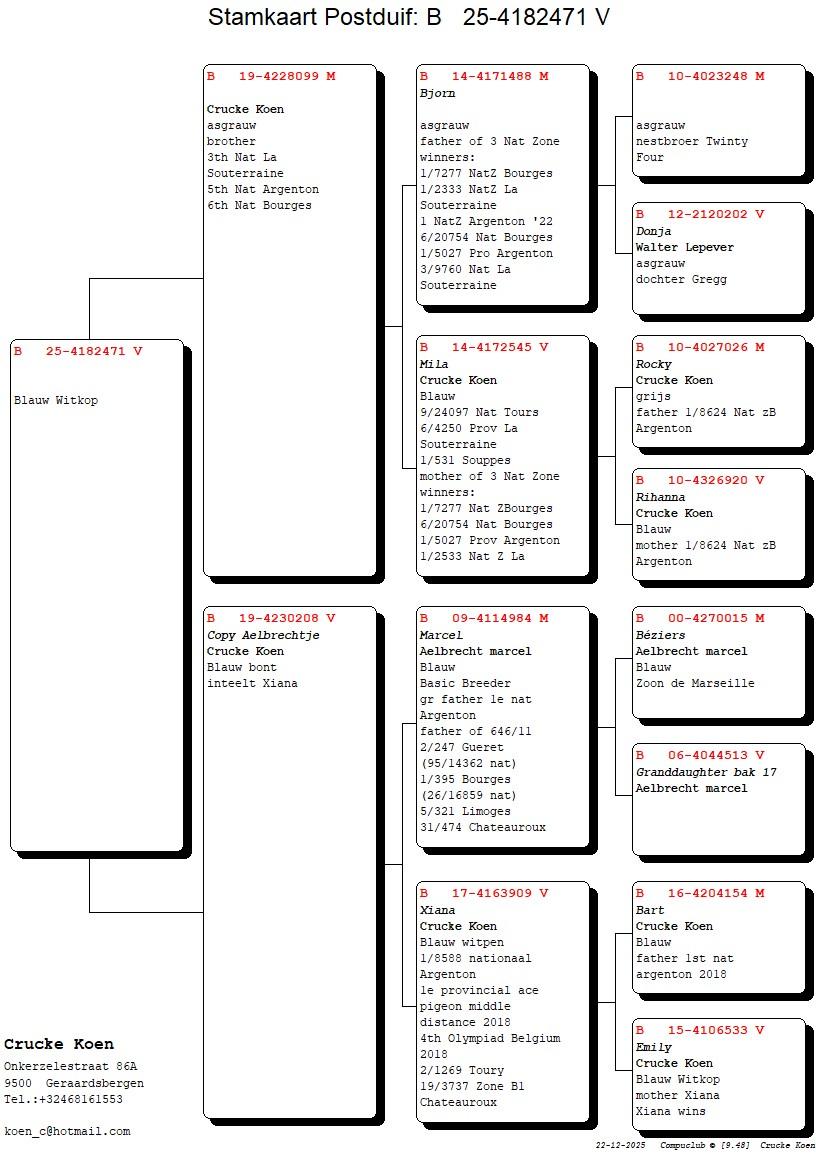 pedigree 09: Crucke Koen (Onkerzele) - Duivin BE-25-4182471 ter plaatse (PEDIGREE) - geboren mei '25