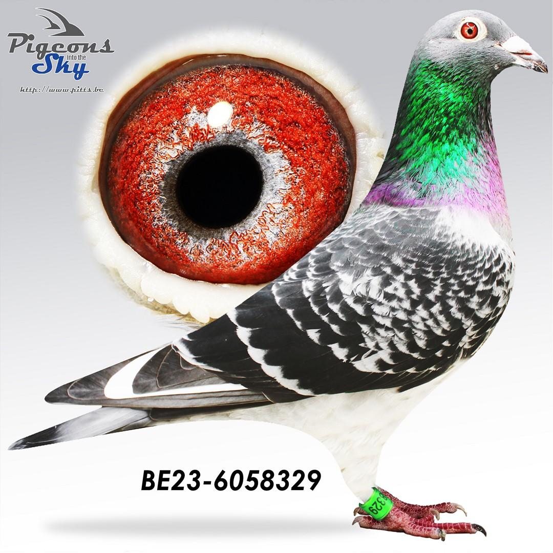 Broer Dark Danny x Dochter Super Rossi