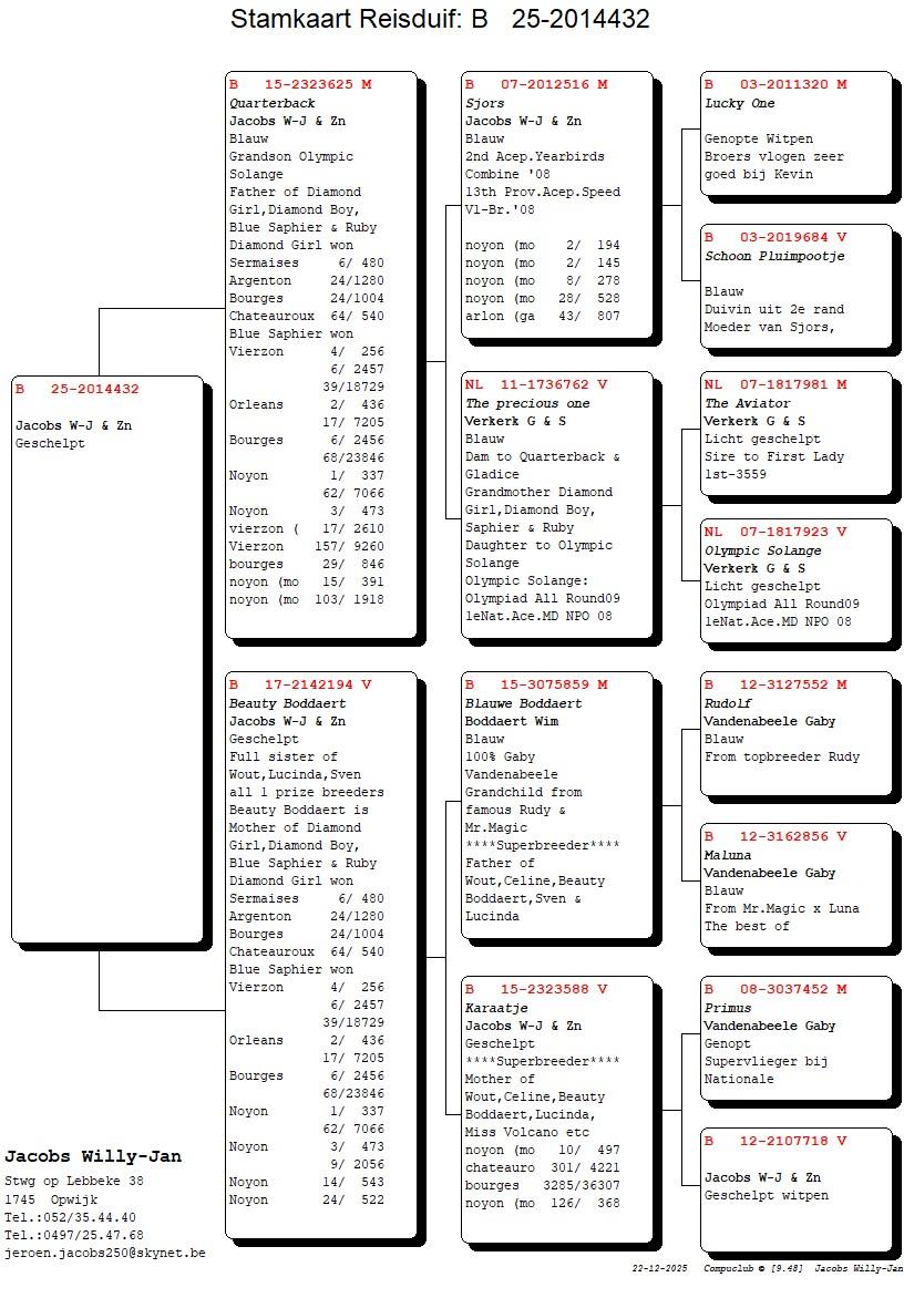 pedigree Achterkleinkind Olympic Solange (Verkerk G&S) & lijnen Rudy, Mr.Magic (Vandenabeele Gaby)