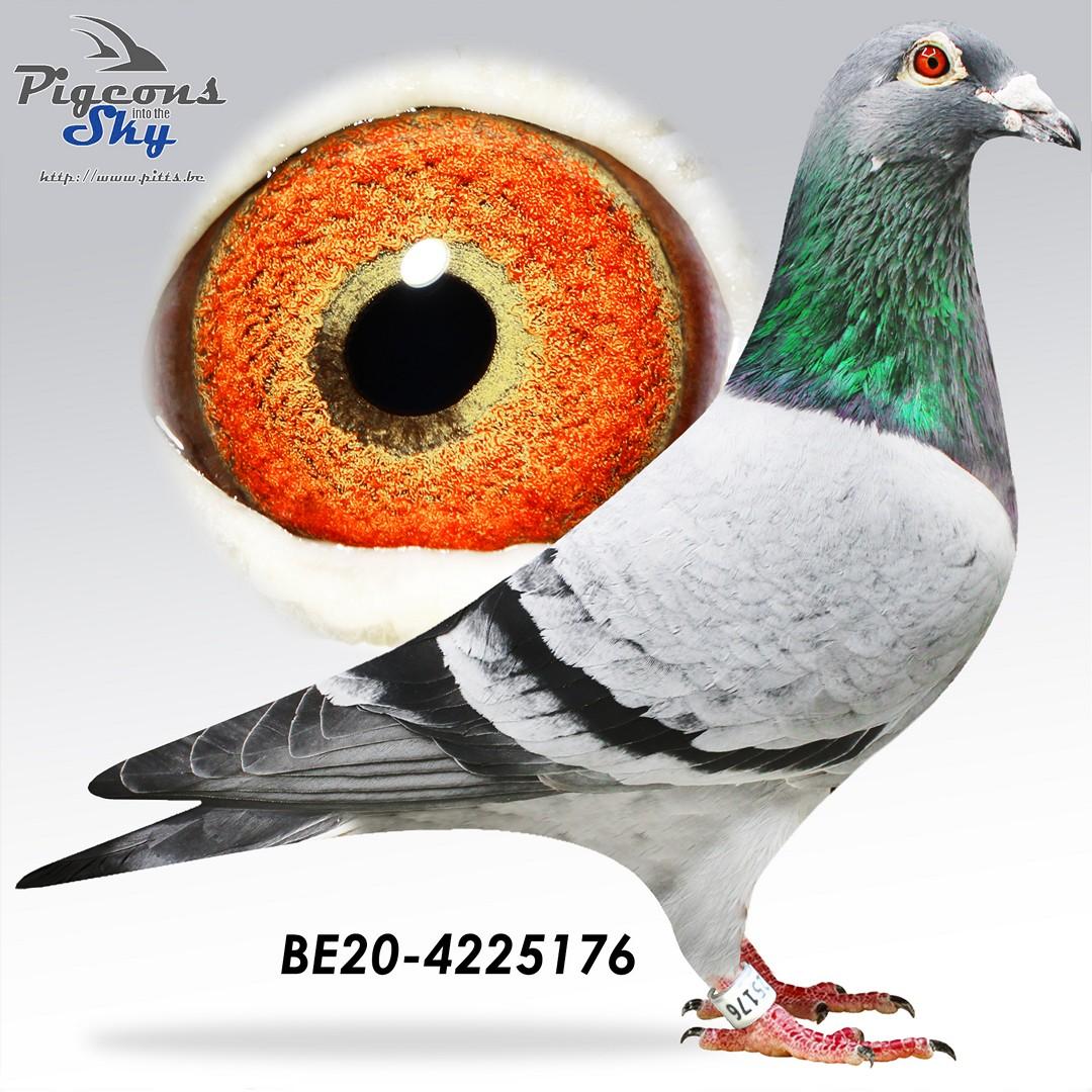 Crack Beauty x Miss Radek 