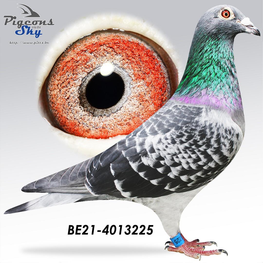 Crack Beauty x Miss Radek 