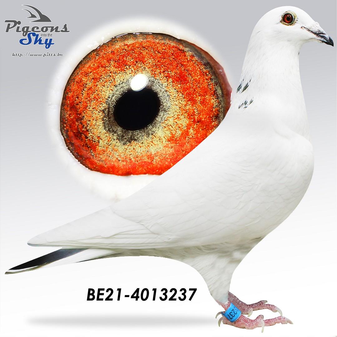 Crack Beauty x Miss Radek 