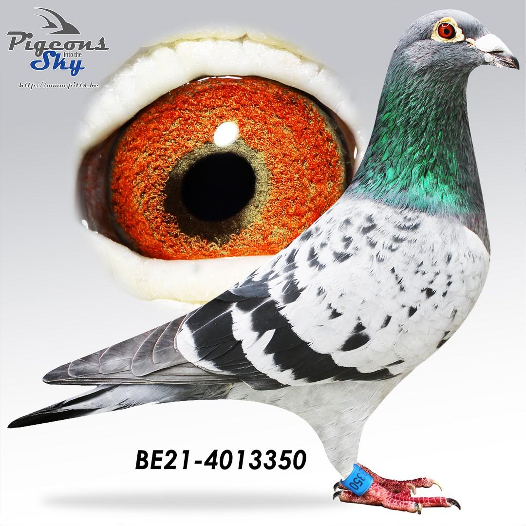 Crack Beauty x Miss Radek 