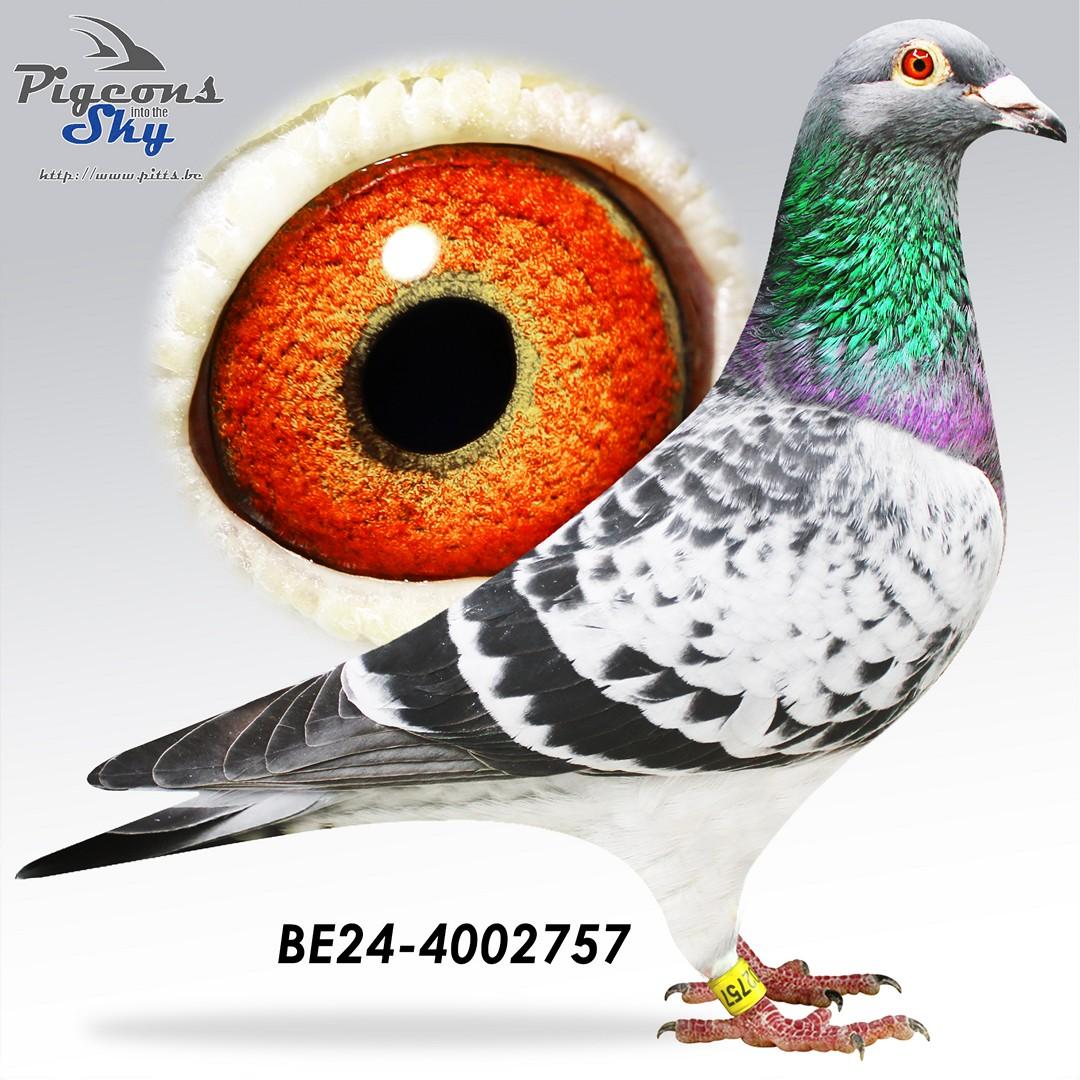 De Zilveren x White Moon 