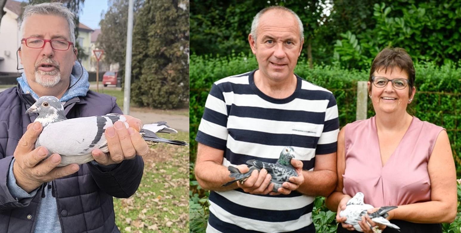 Veiling: Van der Maelen & Pudic