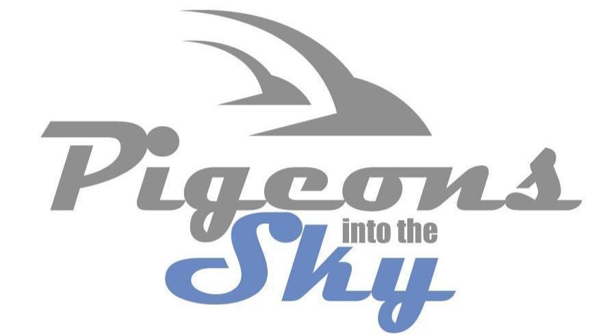 Veiling: Niet-afgeleverde duiven