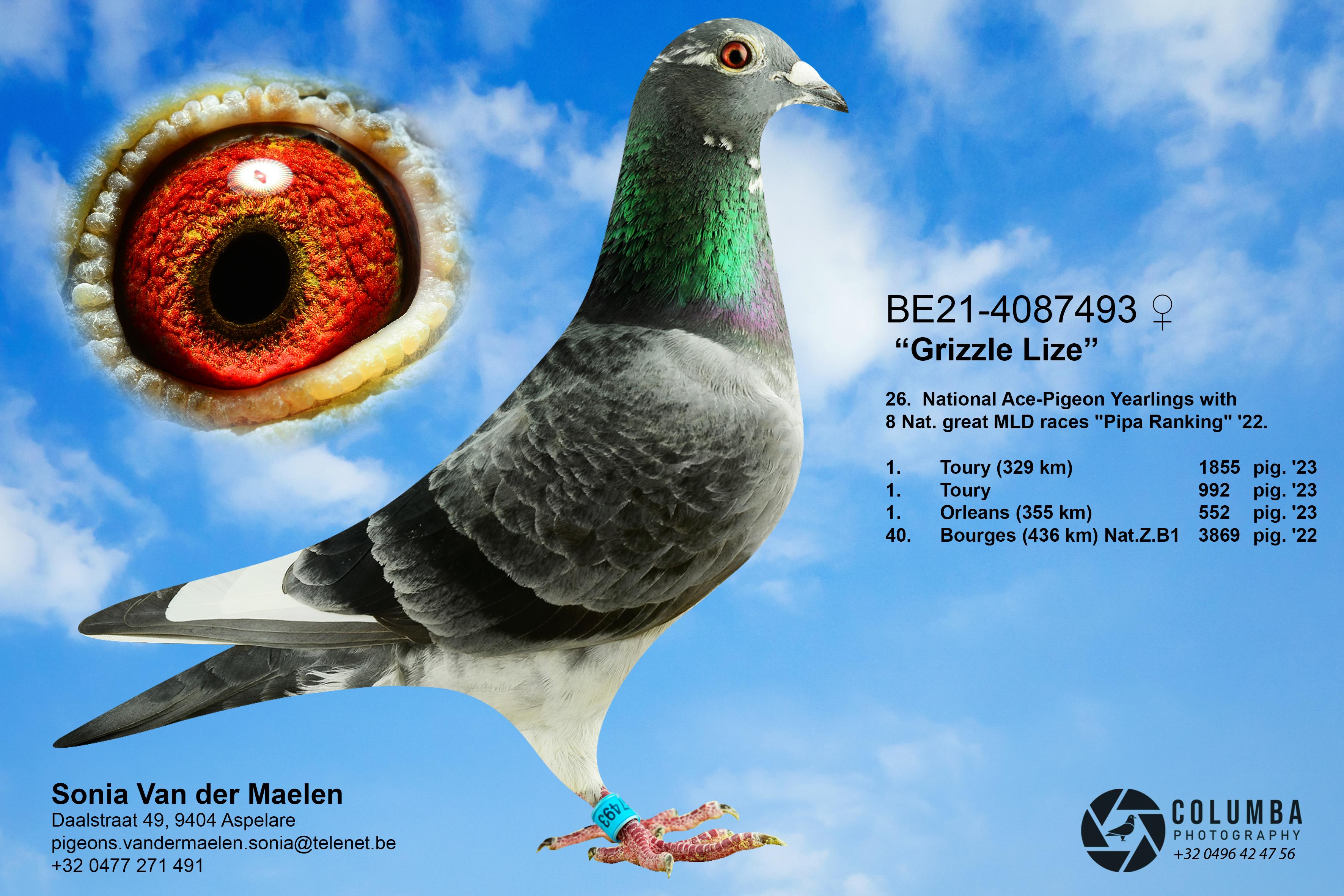 Blue Leidewou 863  - Familie