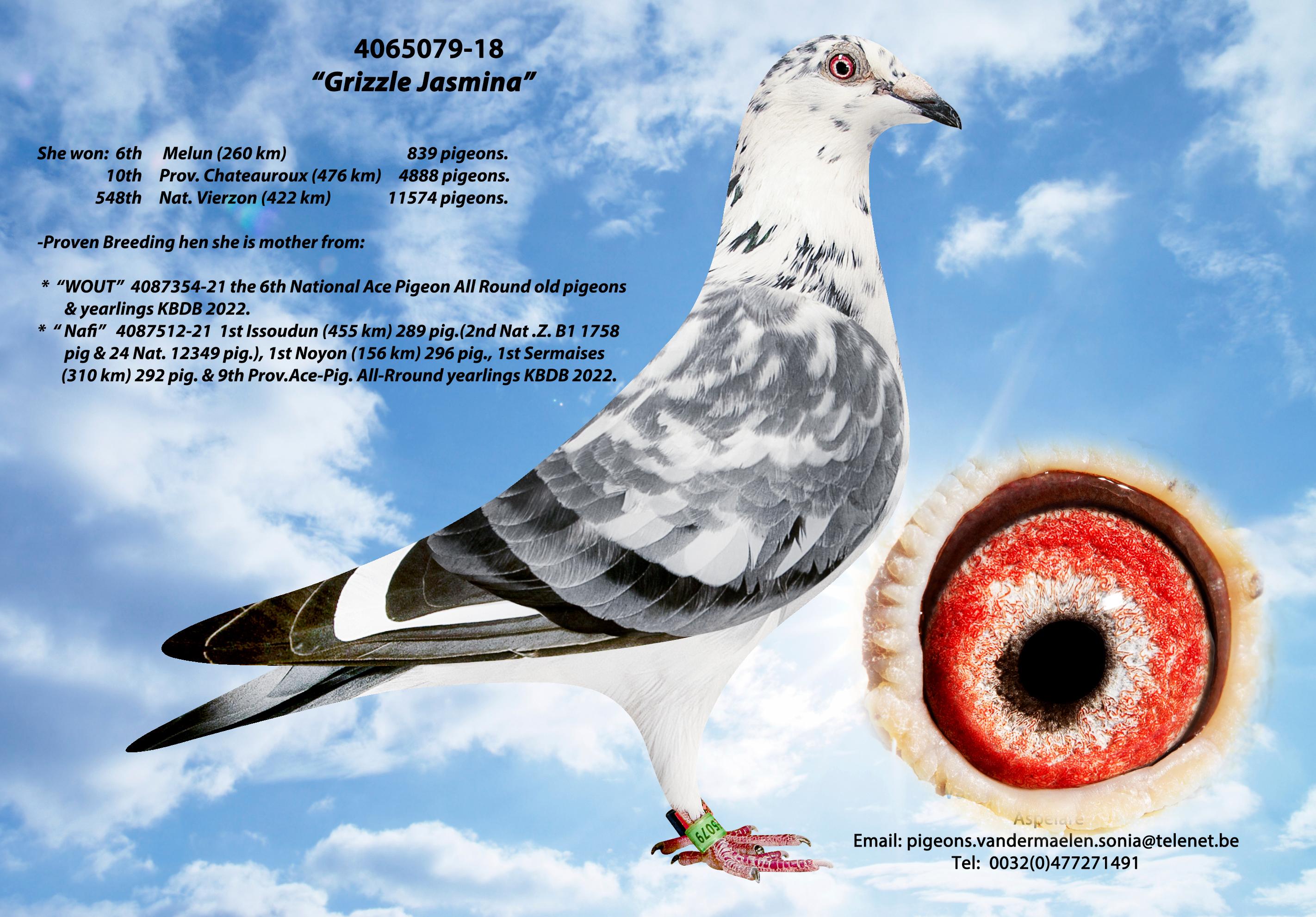 Grizzle Leidewou 871  - Familie