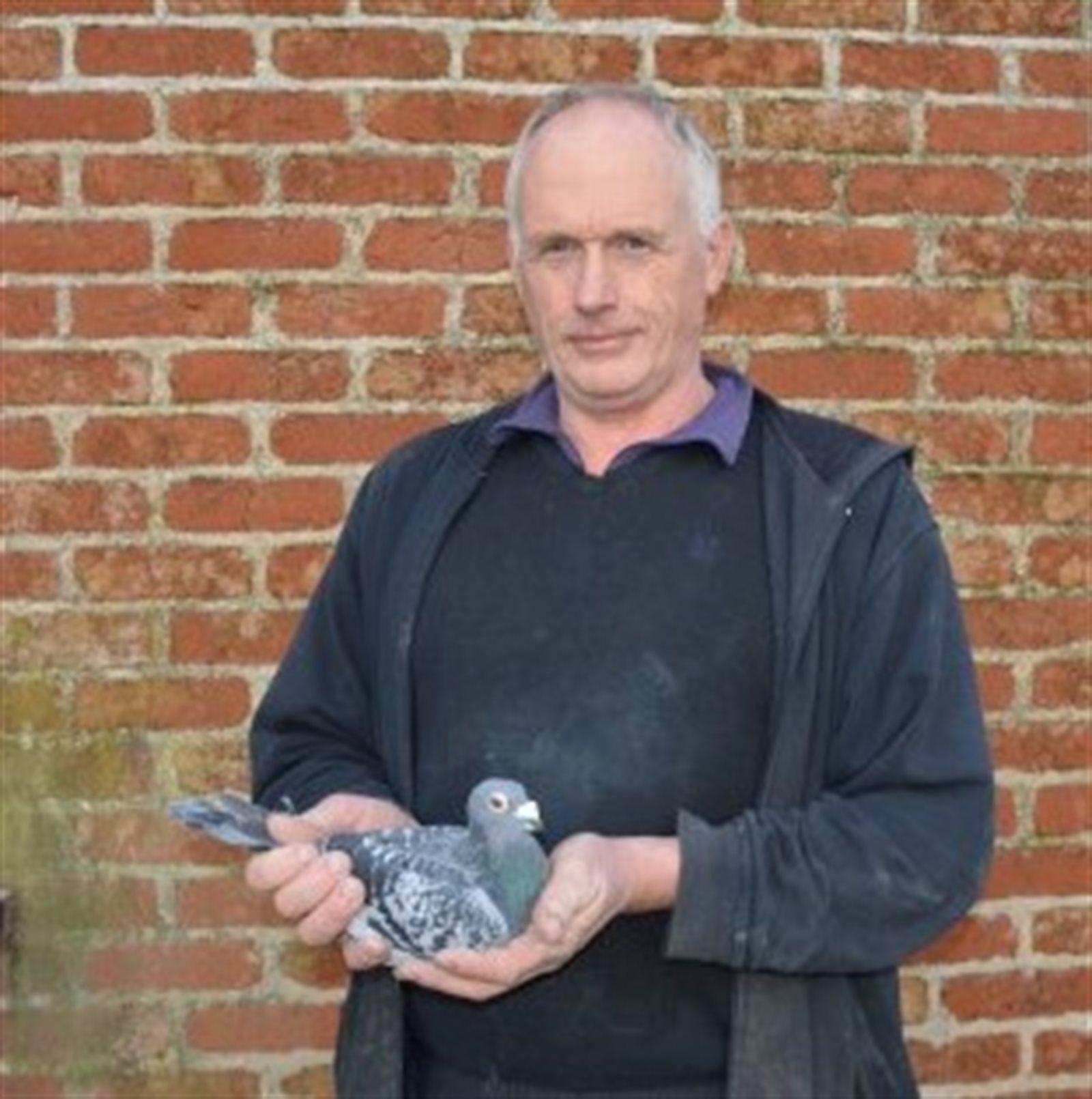 Colpaert Patrick - duif op afspraak