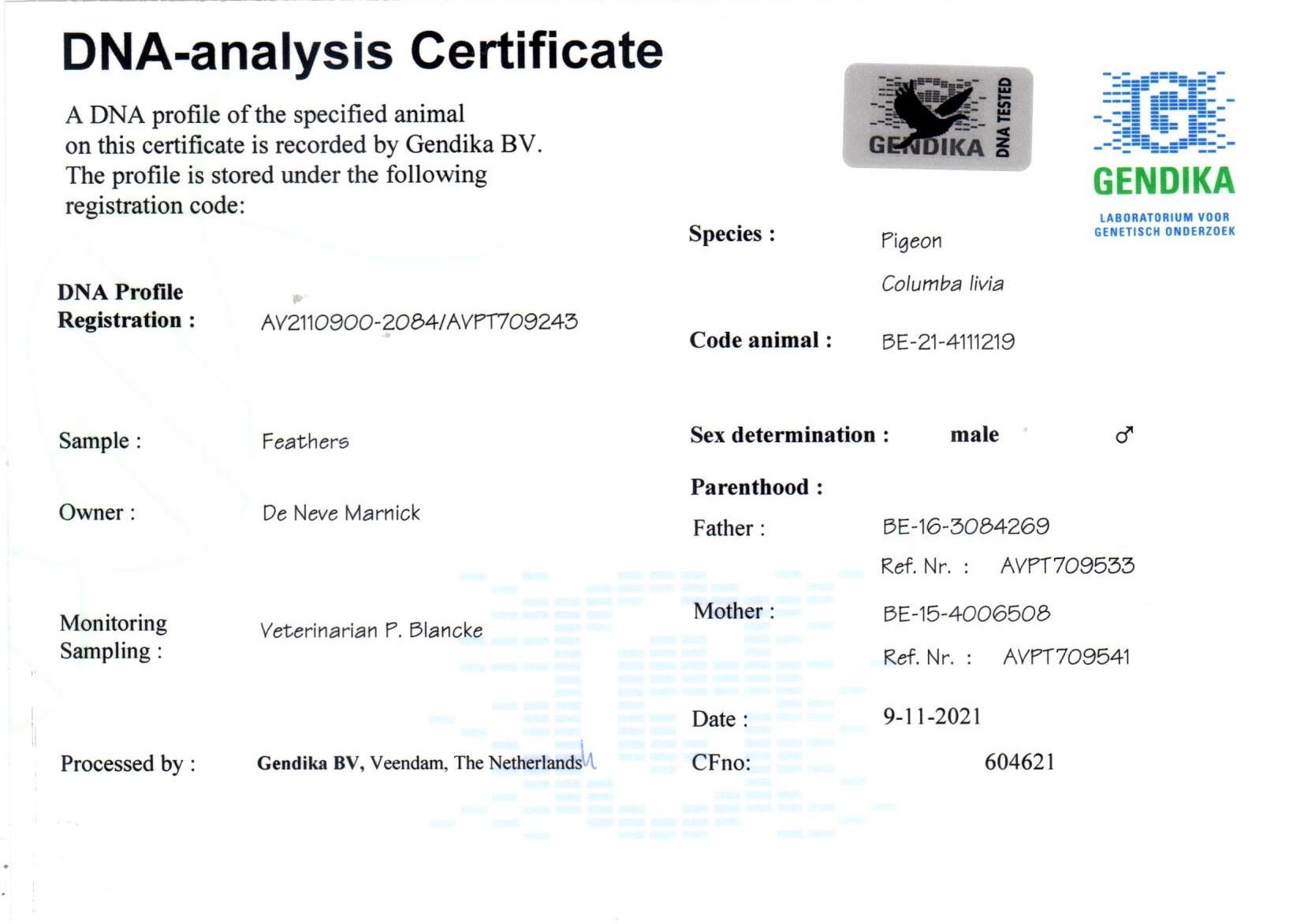 Amigo 219 + DNA - Familie