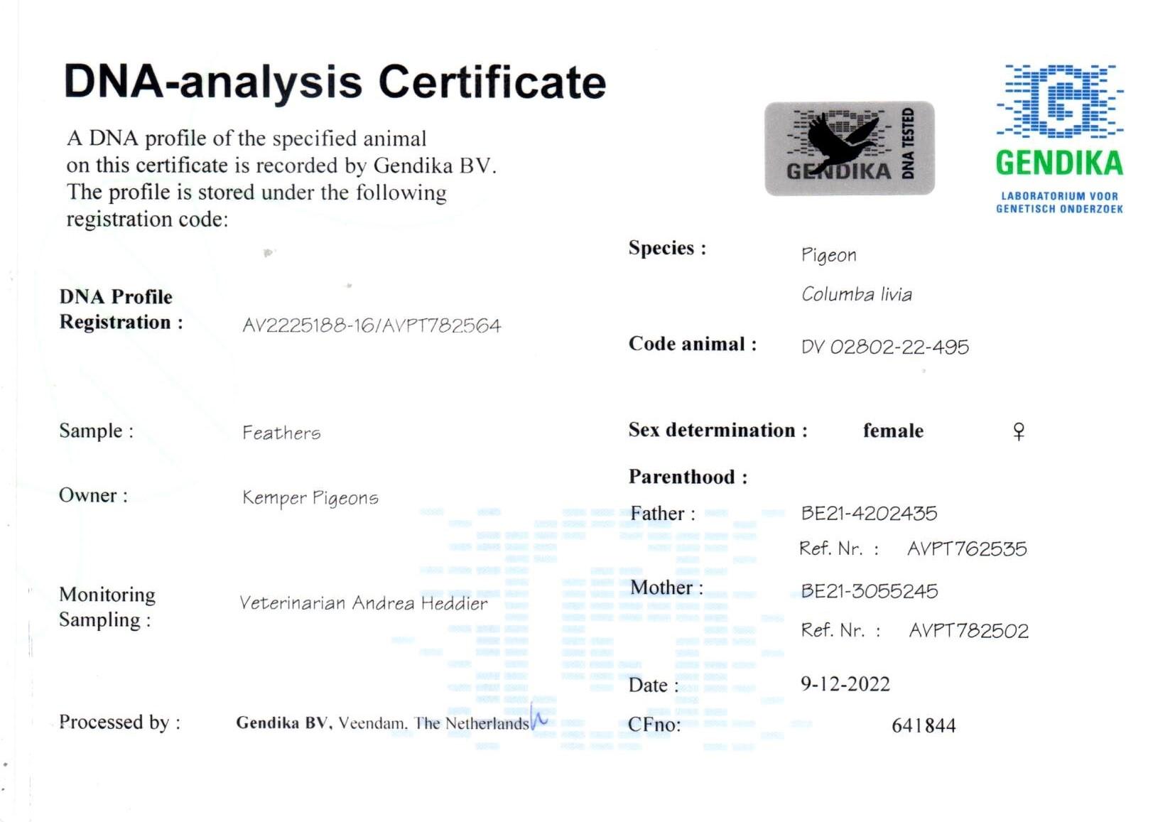 Best Pebbles x Dochter Mister Unique + DNA - Familie