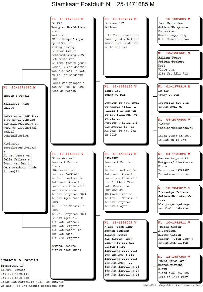 pedigree Halfbroer Miss Unique 