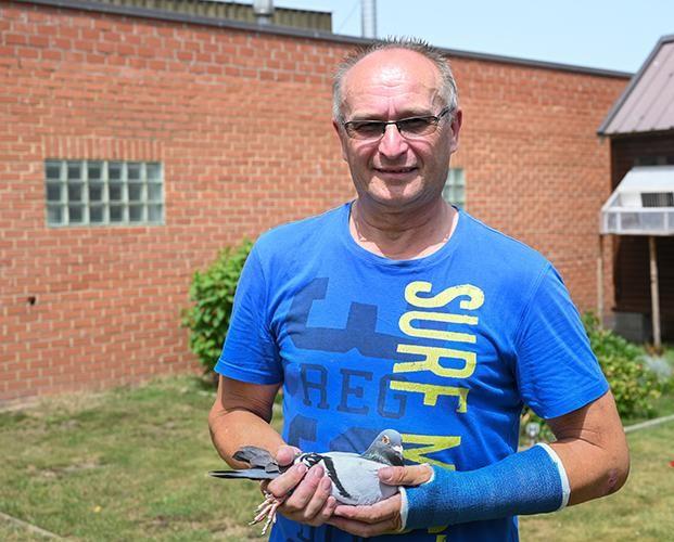 Pletinckx Mark (Deftinge) schenkt een	KOPPEL jonge duiven op afspraak  2026