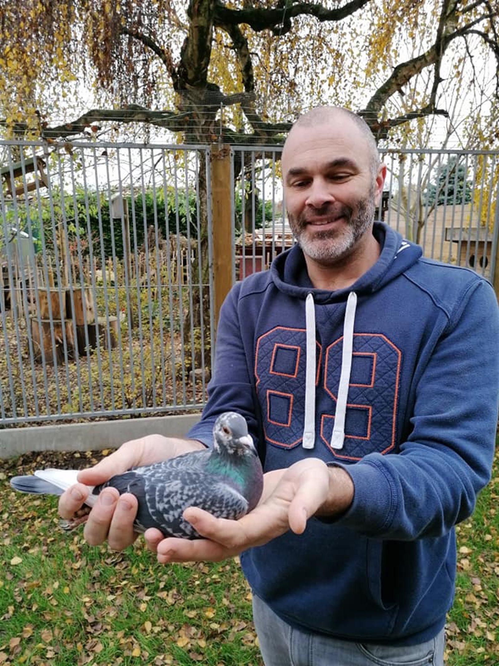 10- De Scheemaecker Frederic (Ezemaal) schenkt een jonge duif 2026 op afspraak(april)