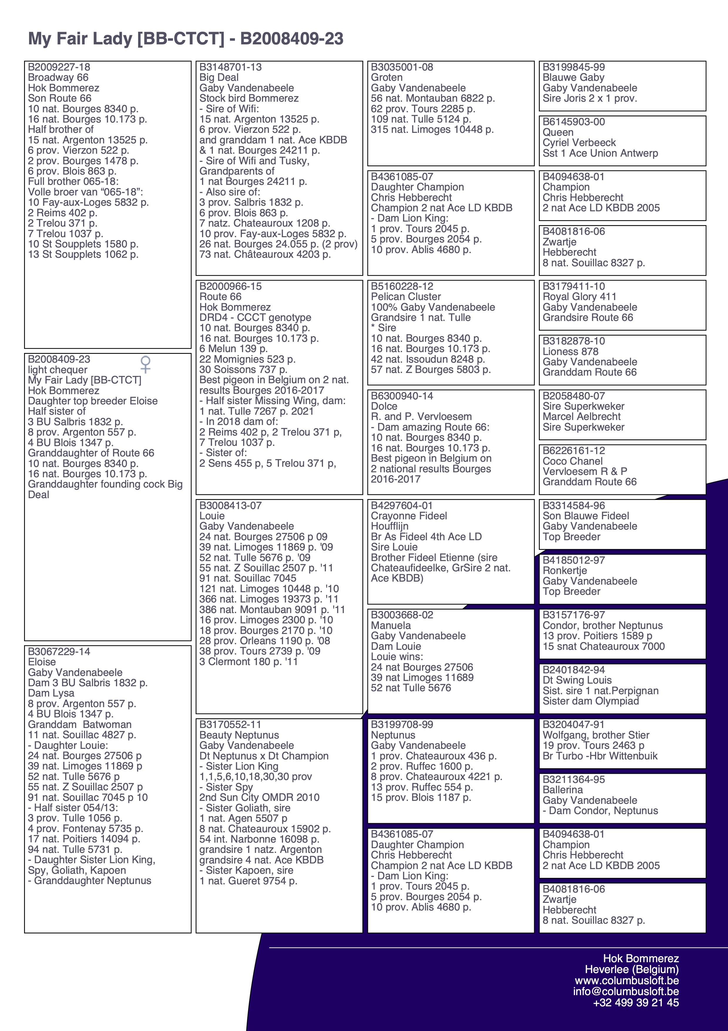 pedigree “My Fair Lady" - zeldzaam genotype: BB-CTCT - dochter topkweekster “Eloise”