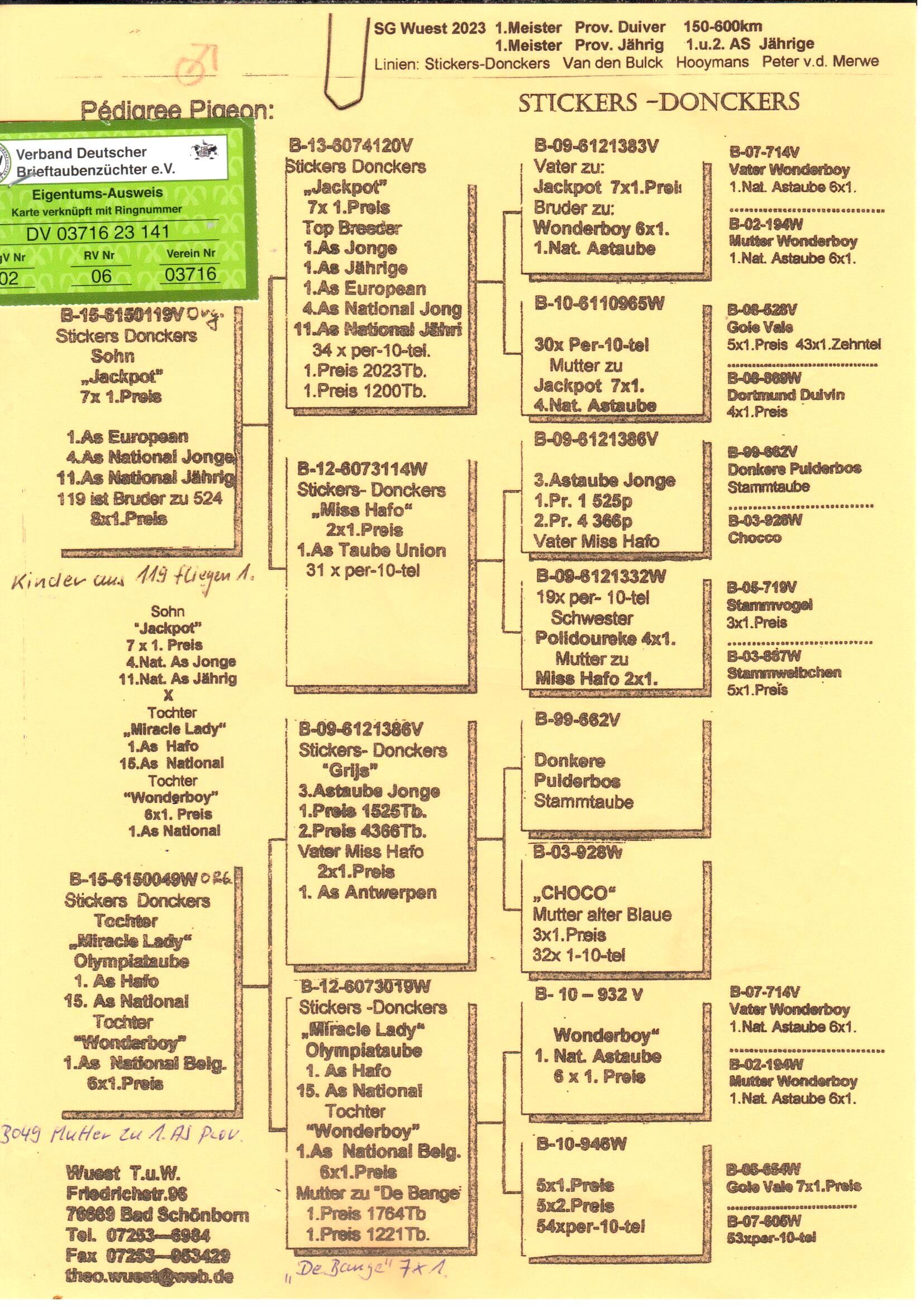 pedigree Zoon Jackpot x Dochter Miracle Lady 