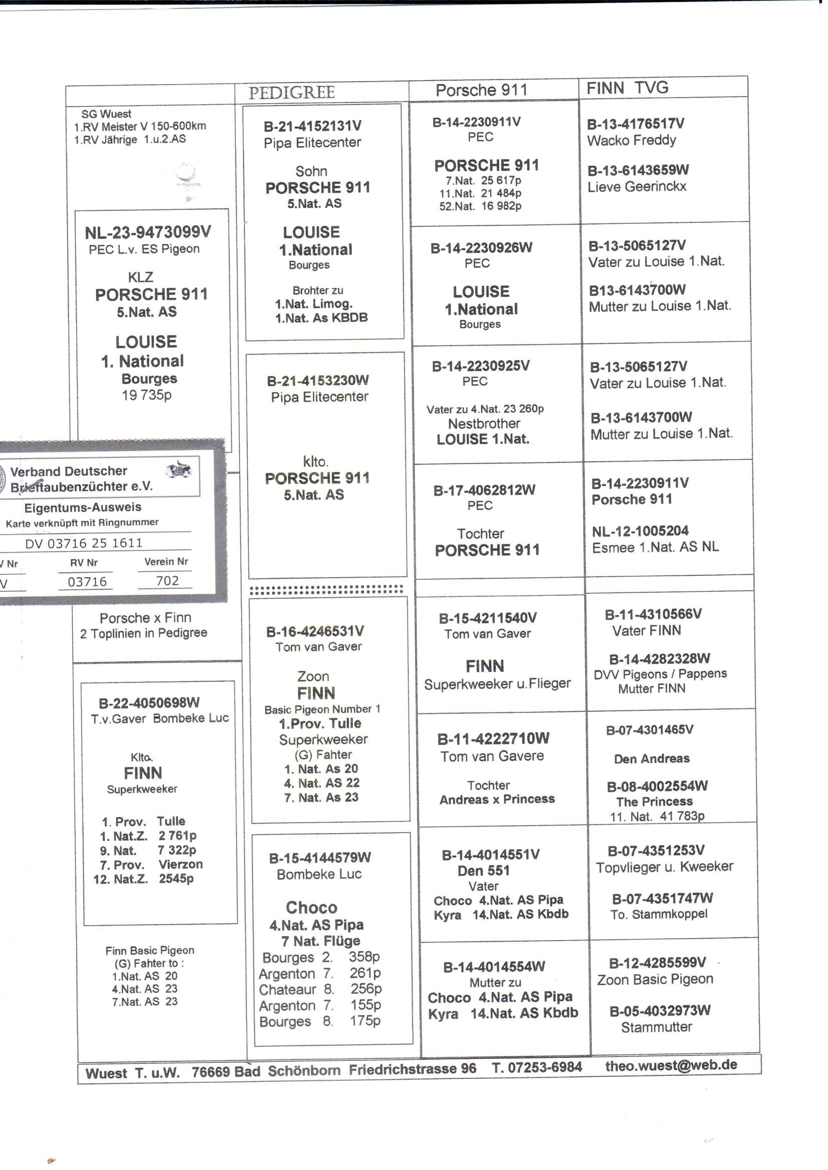pedigree Kleinzoon Porsche 911 x Kleindochter Finn