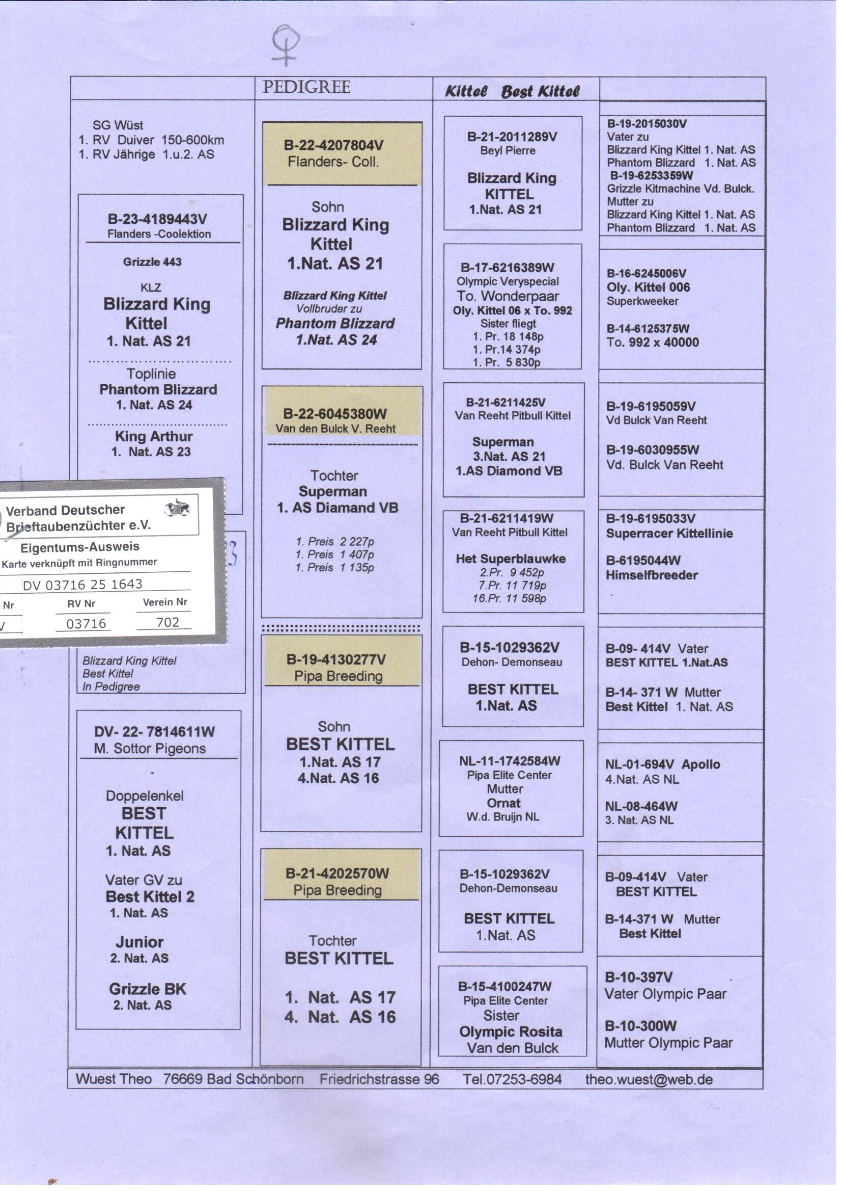 pedigree Grizzle 443 x Inteelt Best Kittel 