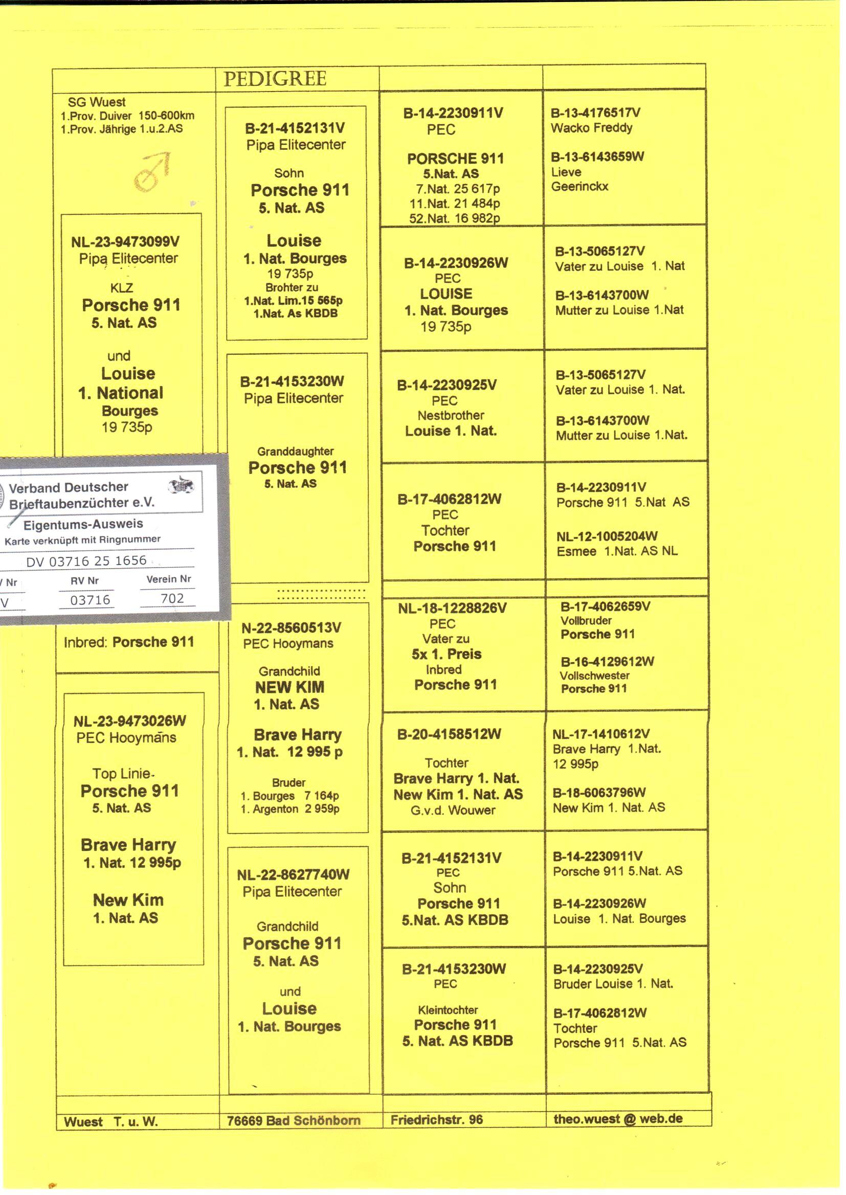 pedigree Kleinzoon Porsche 911 x Toplijn Porsche 911 