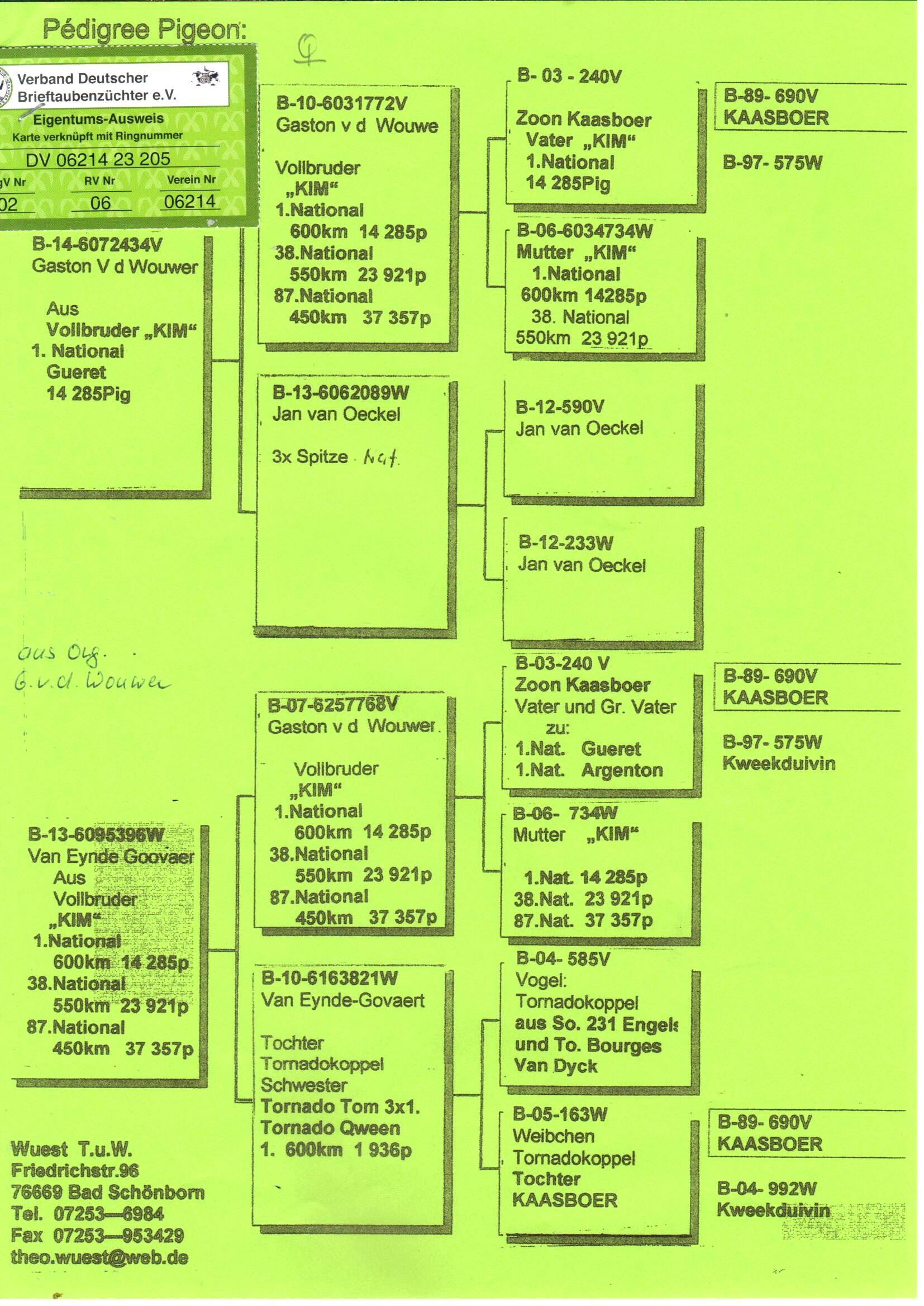 pedigree Zoon broer Kim x Dochter broer Kim 