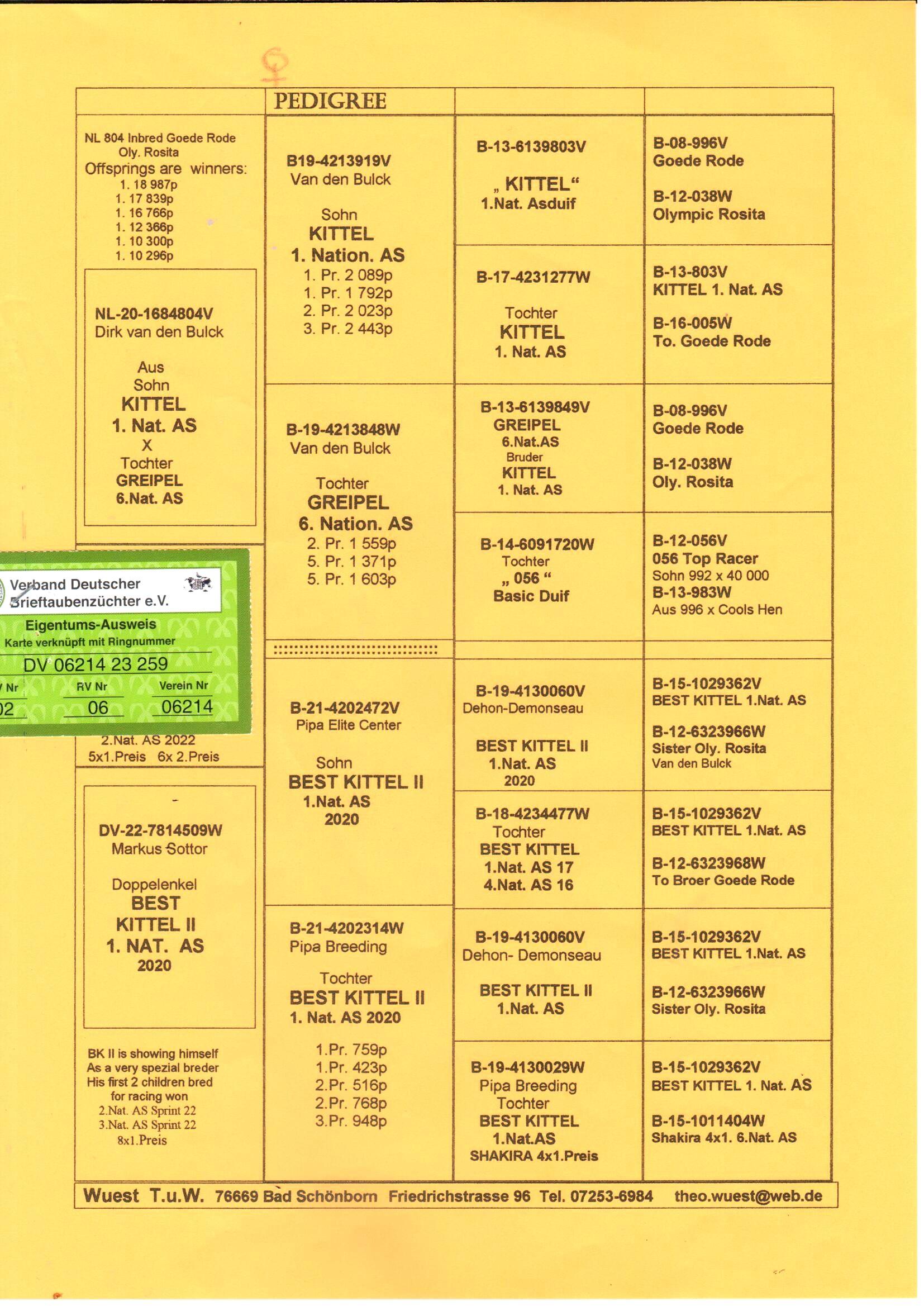 pedigree Kleinzoon Kittel x Inteelt Best Kittel II 