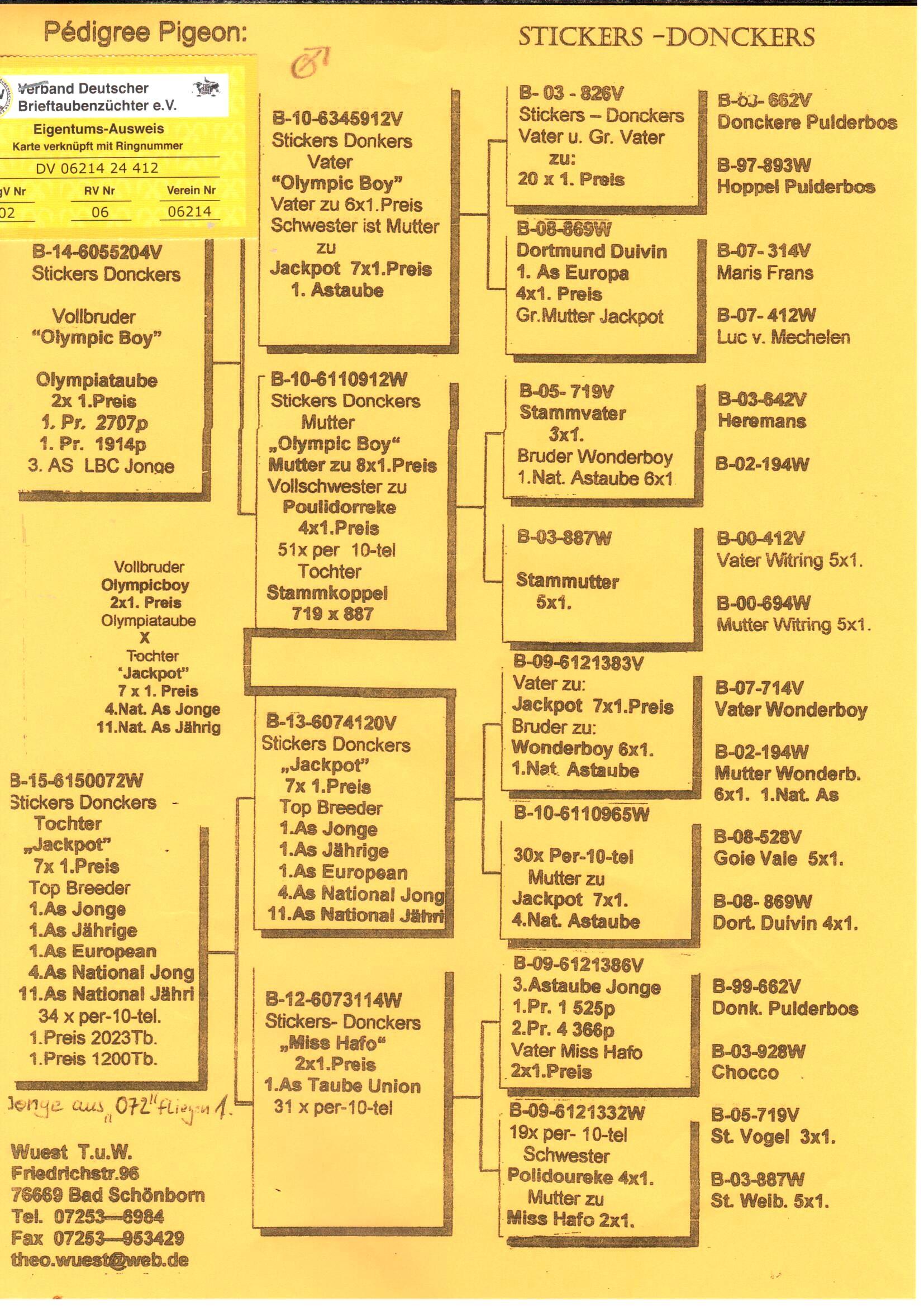 pedigree Broer Olympic Boy x Dochter Jackpot 