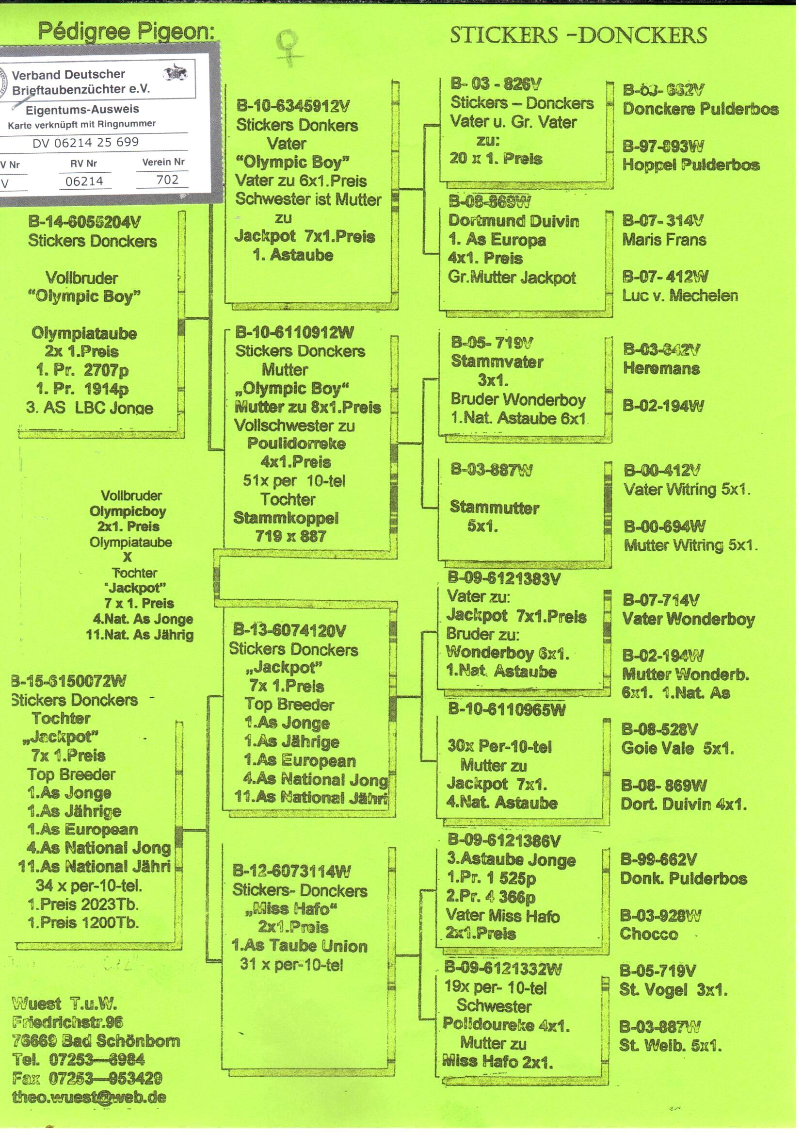 pedigree Broer Olympic Boy x Dochter Jackpot 
