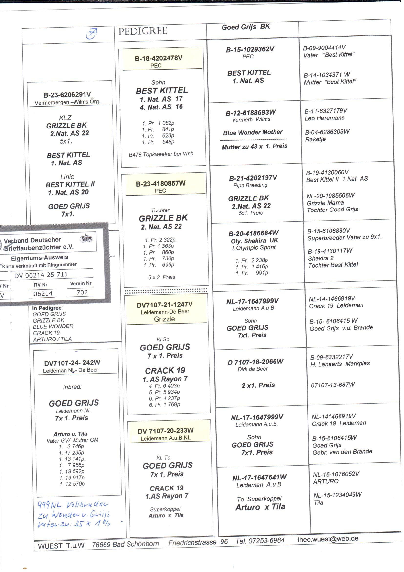 pedigree Kleinzoon Grizzle BK x Inteelt Goed Grijs 