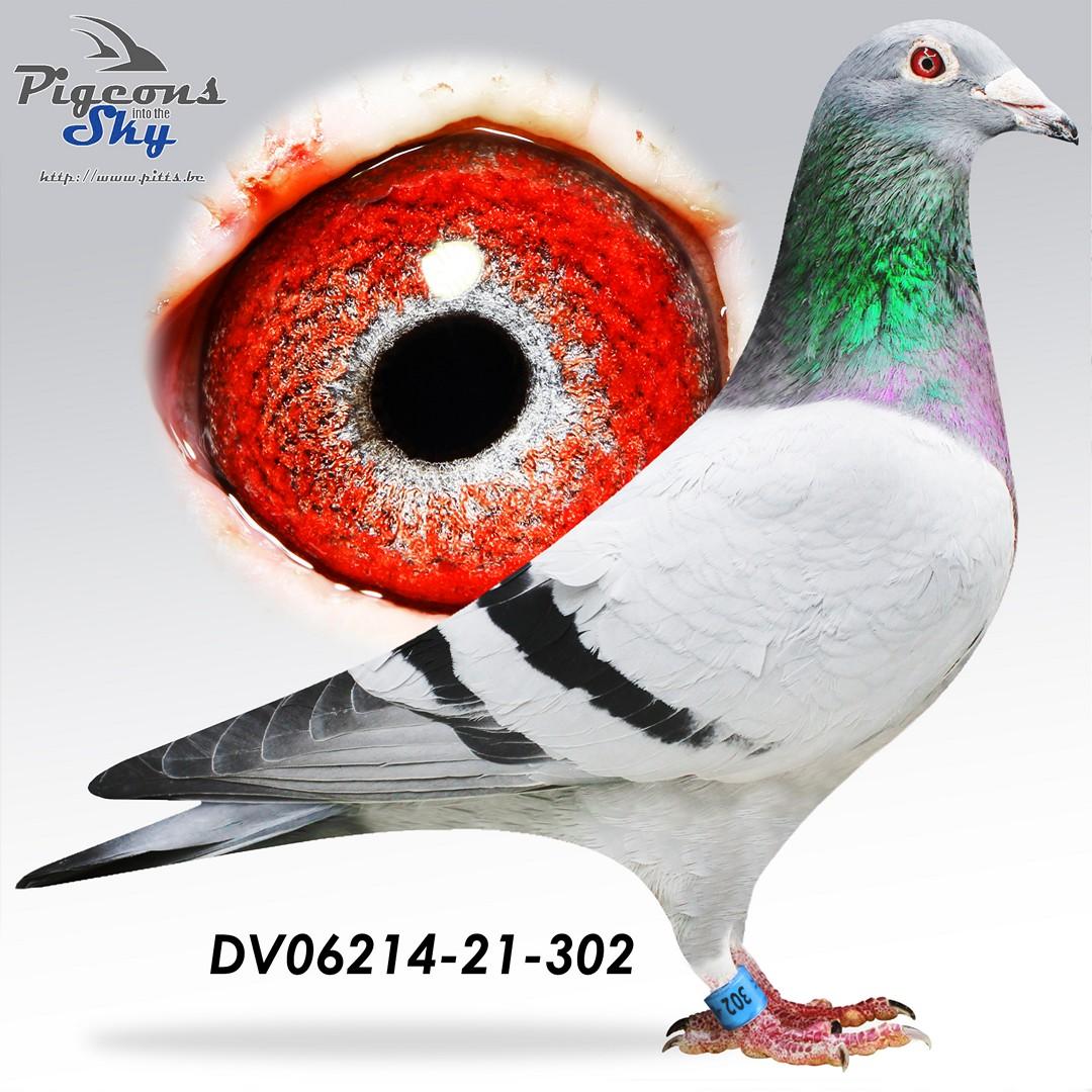 Kleinzoon Kittel x Dochter zus Superke 