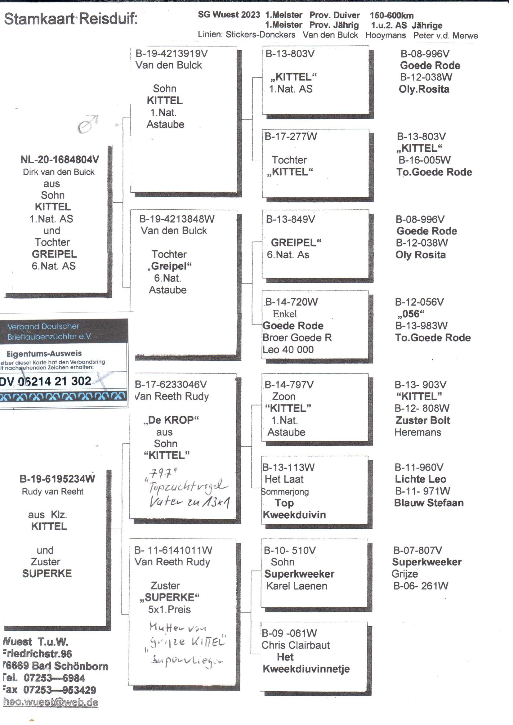 pedigree Kleinzoon Kittel x Dochter zus Superke 