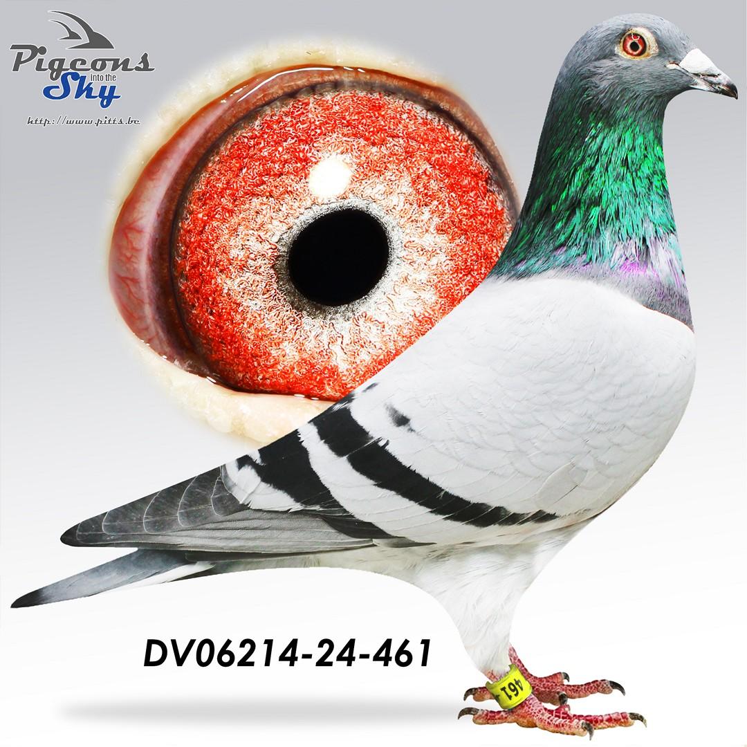 Zoon broer Laura x Dochter broer Kim 