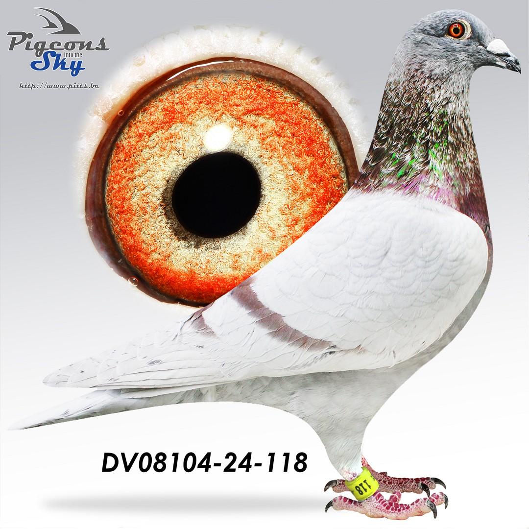 Broer Olympic Boy x Dochter Jackpot 