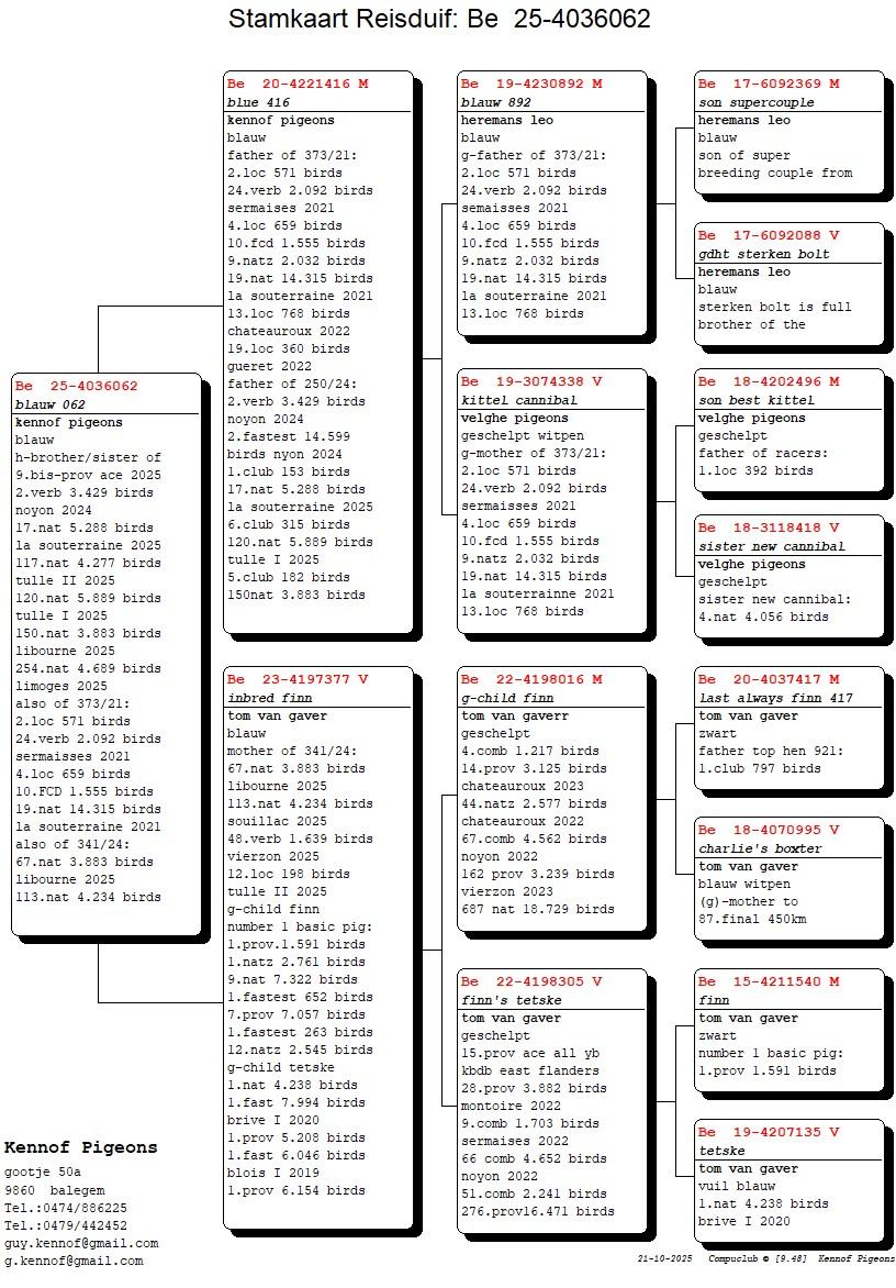 pedigree Blue 416 x Inteelt Finn 