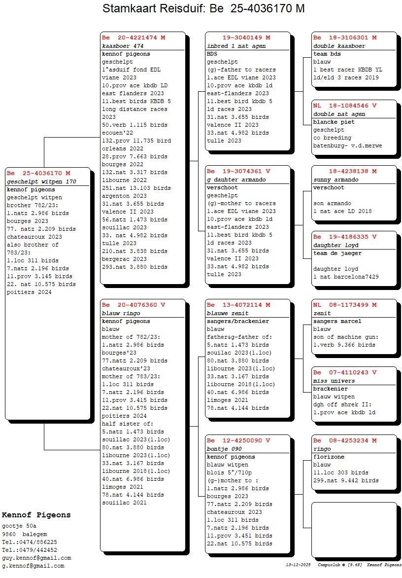 pedigree Kaasboer 474 x Blauw Ringo 