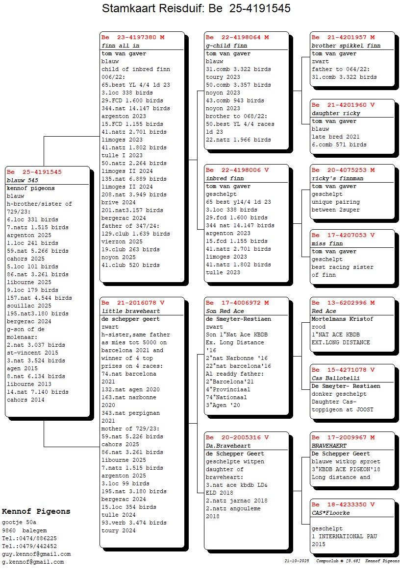 pedigree Finn all-in x Little Braveheart 