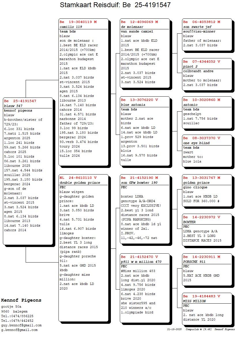 pedigree Camillo 119 x Dubbel Golden Prince 