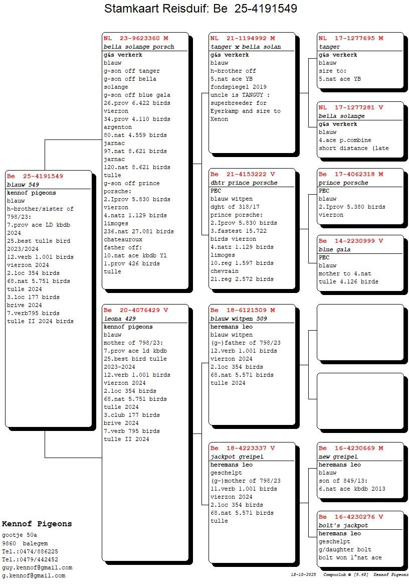 pedigree Bella Solange Porsch x Leona 429 