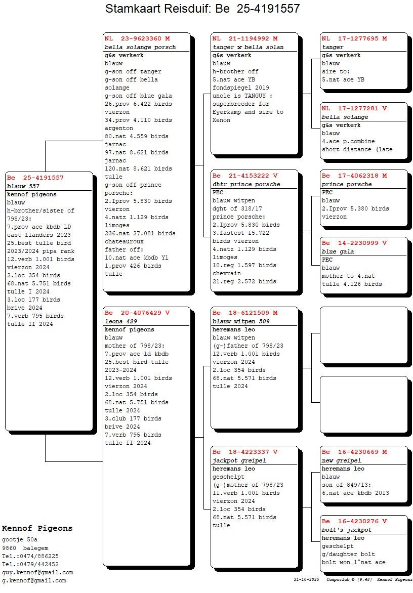 pedigree Bella Solange Porsch x Leona 429 