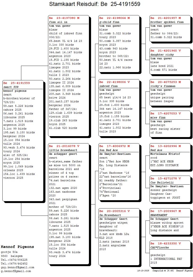 pedigree Finn all-in x Little Braveheart 