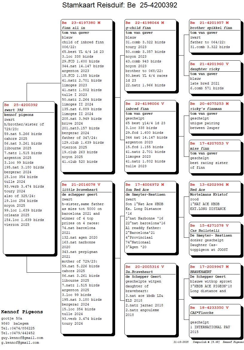 pedigree Finn all-in x Little Braveheart 