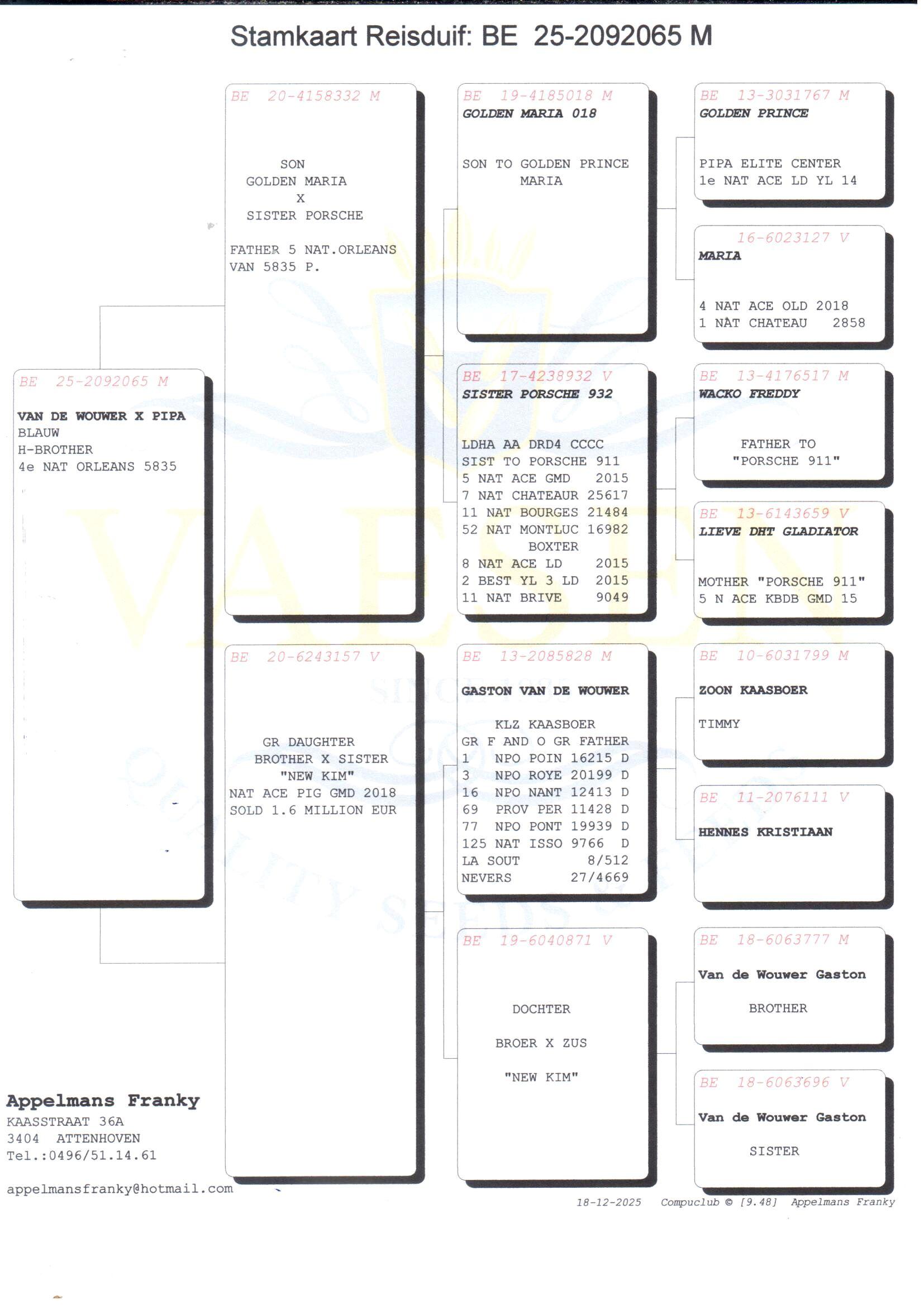 pedigree Zoon uit zus Porsche 932 x Dochter uit kleinzoon Kaasboer 