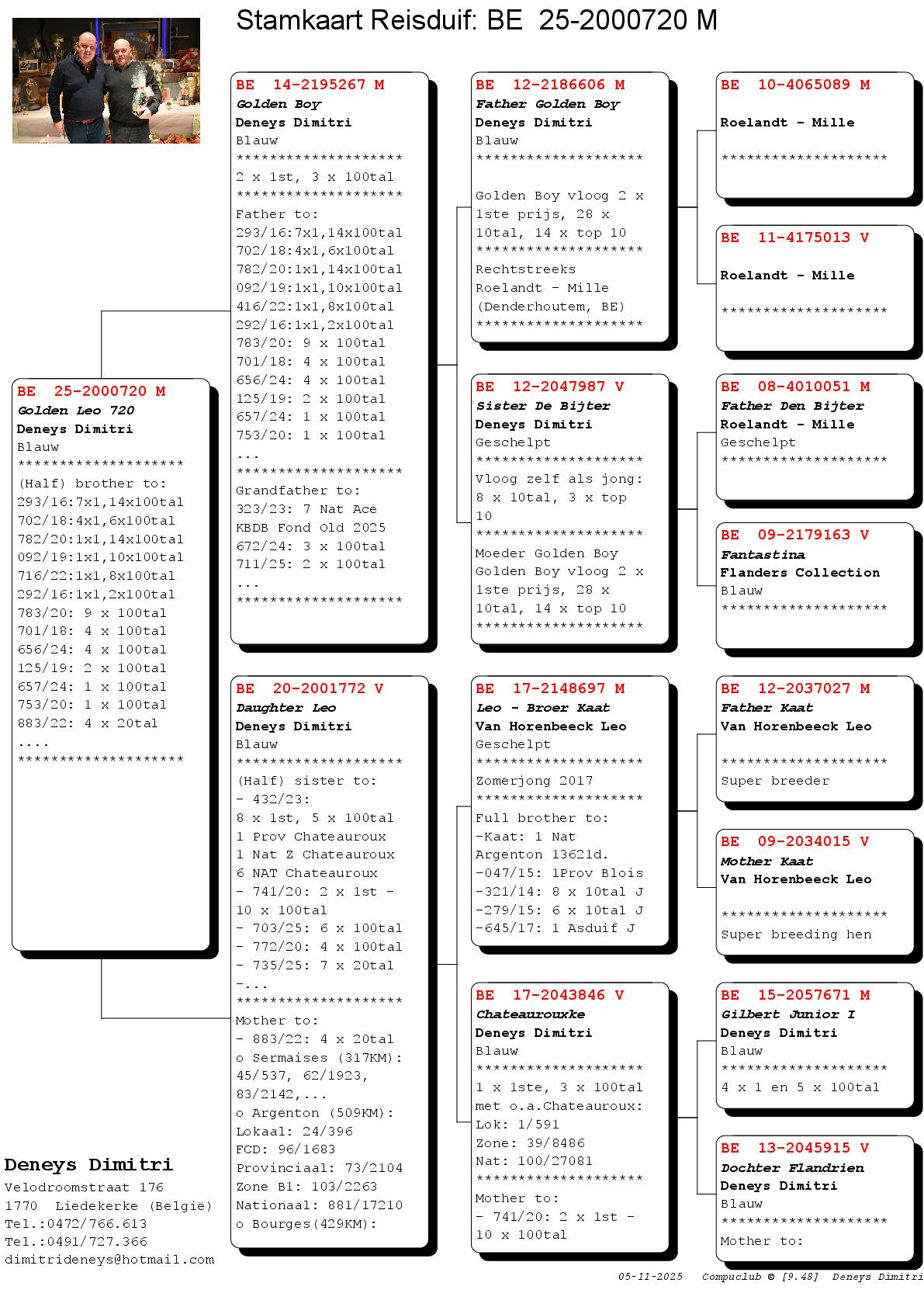 Pedigree van Deneys Dimitri (Liedekerke) kweekklare doffer uit te kiezen
