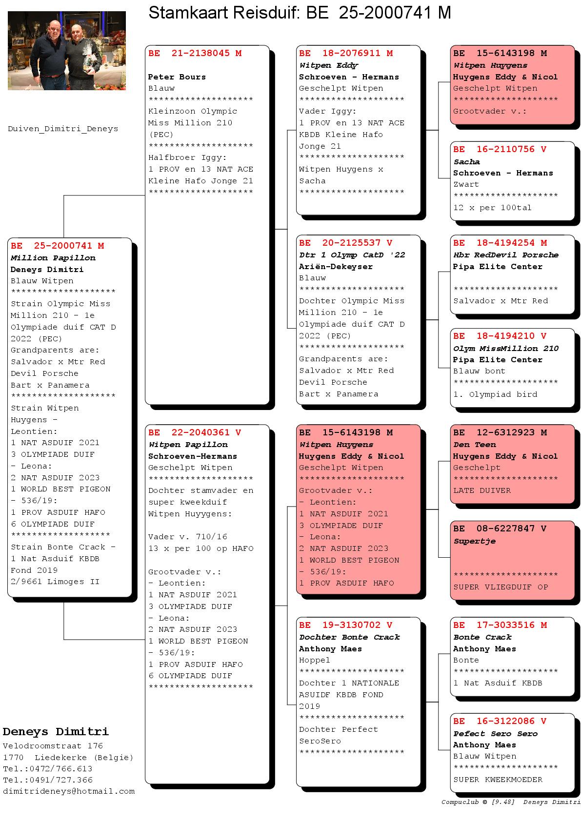 Deneys Dimitri (Liedekerke) kweekklare doffer uit te kiezen - Pedigree