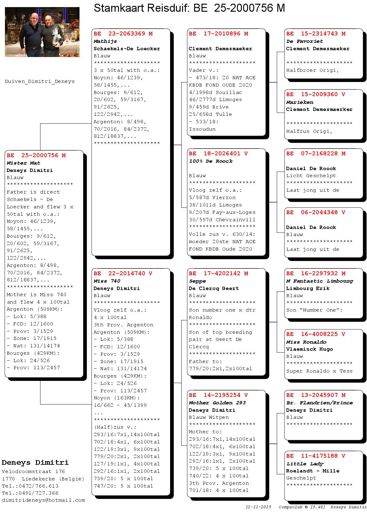 Deneys Dimitri (Liedekerke) kweekklare doffer uit te kiezen - Pedigree